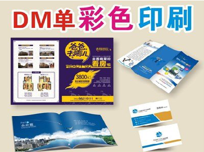 临沧单页印刷，色彩搭配简单。